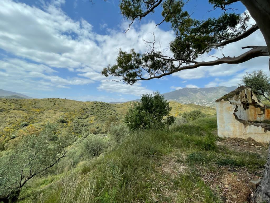 Mijas